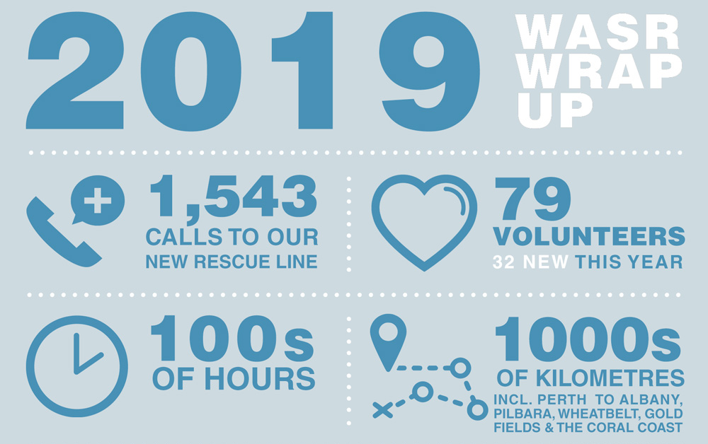 2019 Year in Review
