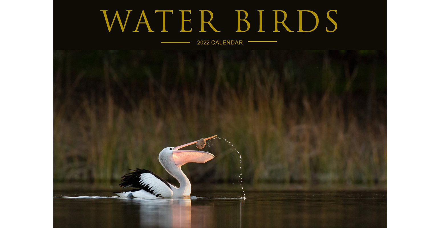 Waterbirds 2022 Calendar