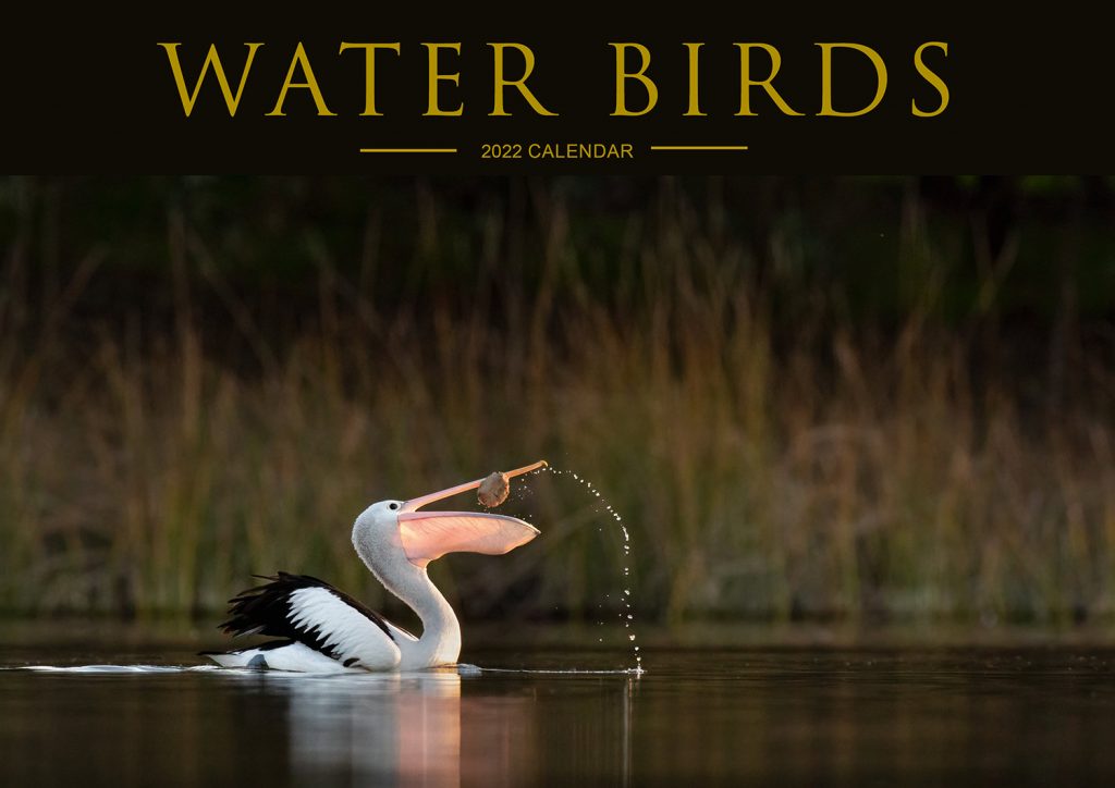 Waterbirds Calendar 2022