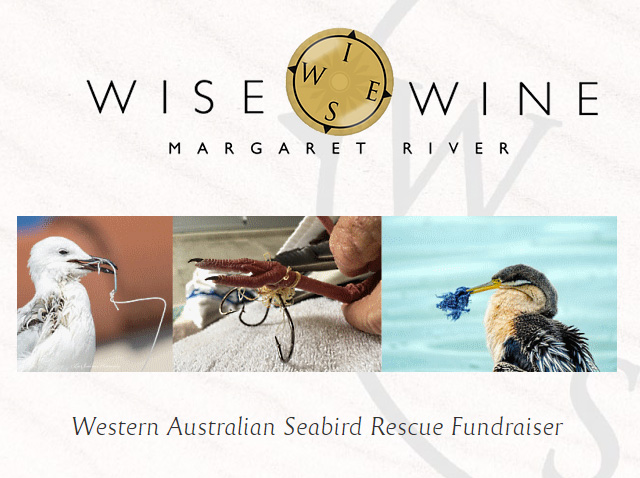 Wise Wine Fundraiser