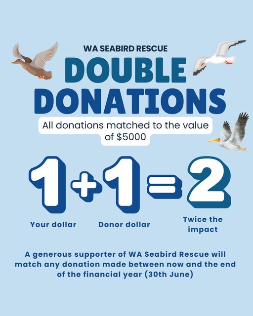 DOUBLE YOUR IMPACT